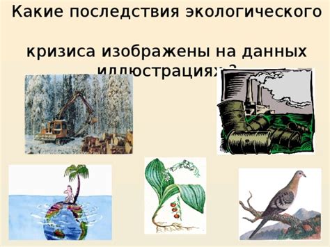 Последствия экологического кризиса: угрозы для жизни на планете