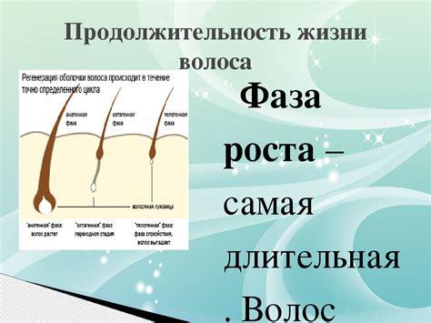 Постоянная предотвращение врастания волоса