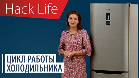 Постоянная работа холодильника не допускает оттепельного периода