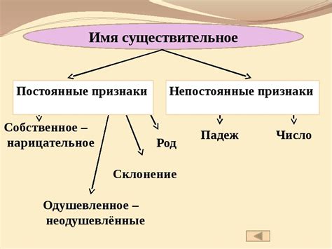 Постоянные признаки и их роль