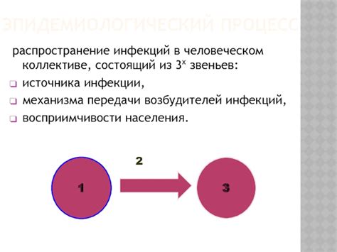 Потенциальное распространение инфекций в коллективе