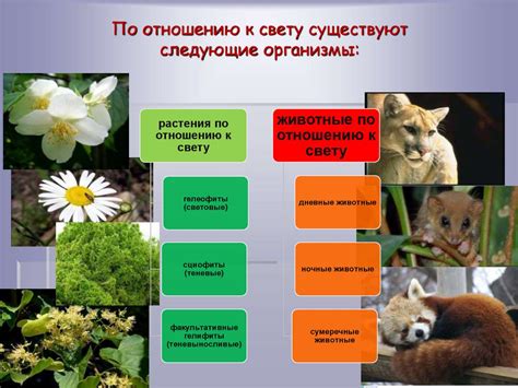 Потребности организмов и факторы окружающей среды