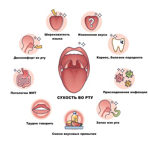 Почему возникает сухость во рту днем и ночью?