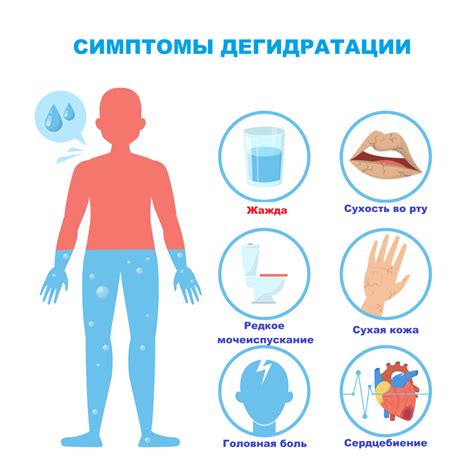 Почему возрастает уровень белка в моче: разбираем основные причины