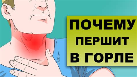 Почему орви першит в горле?