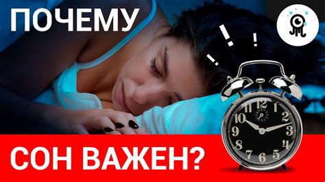 Почему сонник так важен?