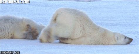 Почему так сложно встать с дивана?