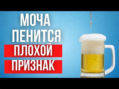 Почему у женщин пенится моча и какие причины этому могут быть