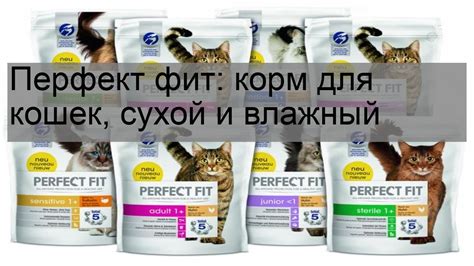 Почему OSPRI лучший продукт питания для кошек?