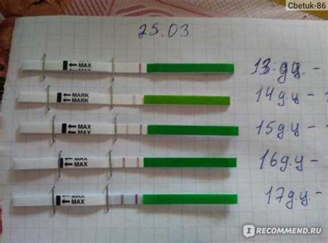 Появление двух полосок на тесте овуляции