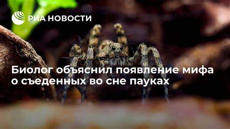 Появление мифологического существа во сне