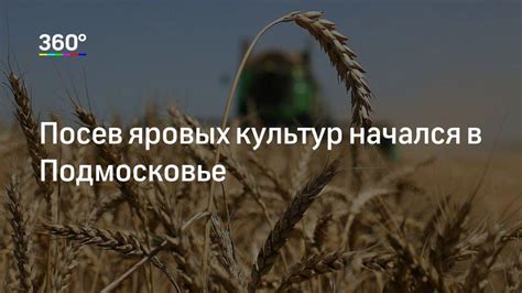 Правила посева яровых культур