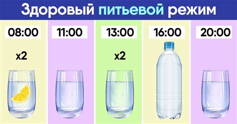 Правила употребления воды и альтернативных напитков для достижения оптимального питьевого режима