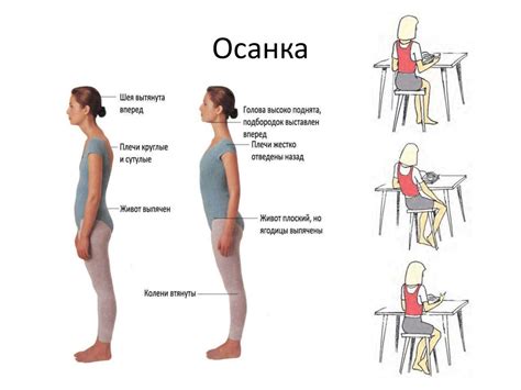 Правильная осанка и стиль жизни