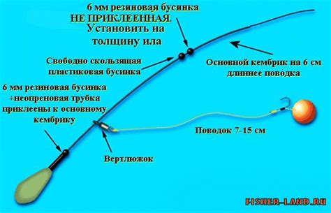 Правильная техника заброса снасти для ловли карпа