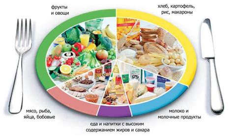 Правильное питание: сбалансированность