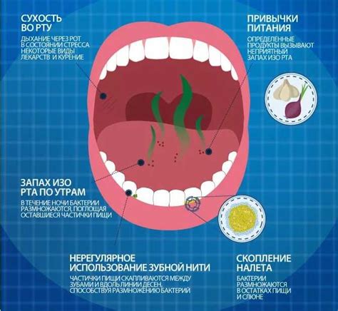 Правильное питание и неприятный запах изо рта