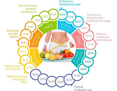 Правильное питание и режим питания как аспекты профилактики опрелости на попе у взрослых