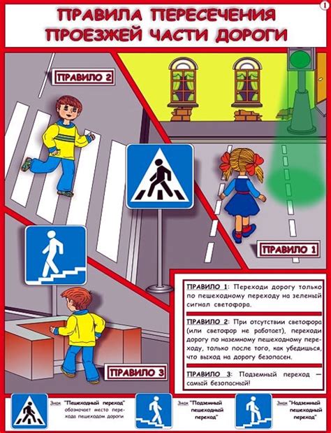 Правильное пропускание пешехода: основные правила и улучшенные требования