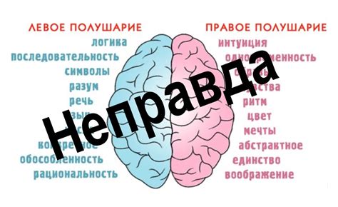 Правое или левое полушарие мозга?