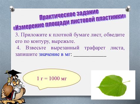 Практическое применение измерения площади поверхности