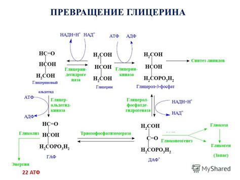 Превращение глицерина