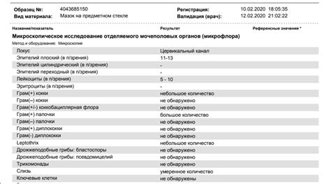 Предостережения и профилактика Eubacterium spp у мужчин