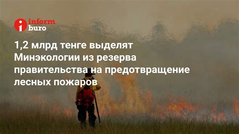 Предотвращение лесных пожаров