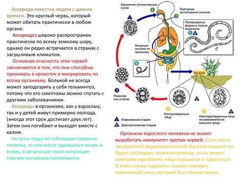 Предупреждение заражения червяками