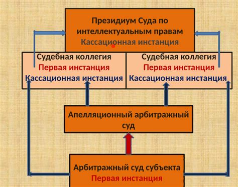 Президиум суда по интеллектуальным правам: основные аспекты