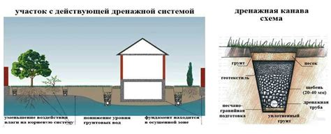 Преимущества использования грунтовых вод на участке