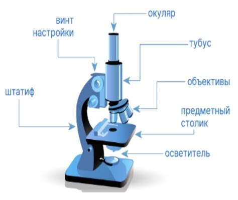 Преимущества использования штативной лупы