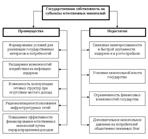 Преимущества и недостатки государственной организации