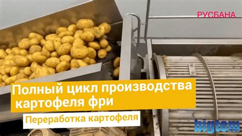 Преимущества и недостатки сушки и заморозки