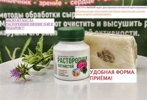 Преимущества масла и шрота из расторопши: почему их стоит выбрать?