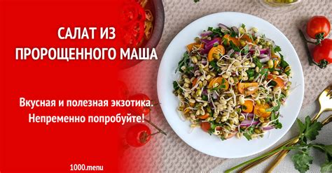 Преимущества пророщенного маша