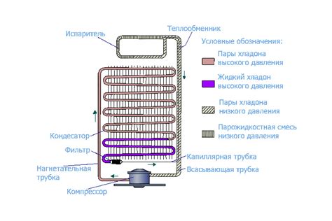 Преимущества No frost и капельной системы для холодильника