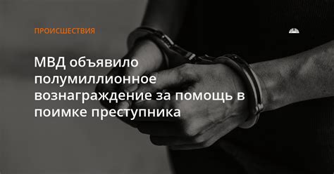 Привлечение полиции к поимке преступника: что происходит?