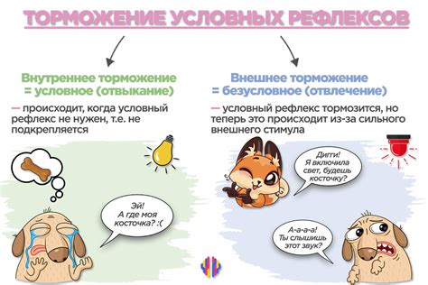 Привычка и условные рефлексы