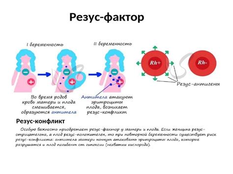 Признаки резус-фактора у мужчин