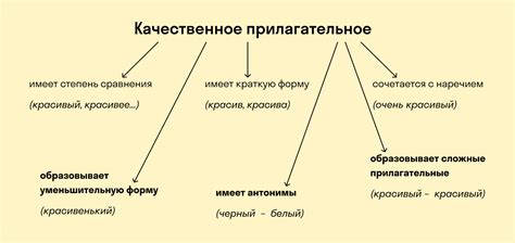 Прилагательные: описывают свойства и качества