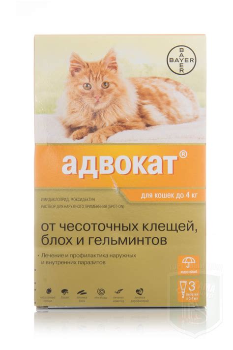 Применение антиглистных препаратов для котят