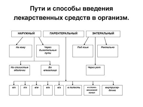 Применение антигрызущих средств и препаратов