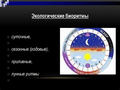 Применение биоритма в других сферах жизни