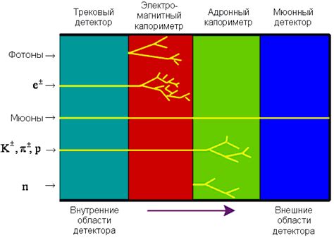 Применение детекторов в физике