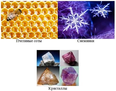 Применение многоугольников в реальной жизни