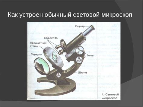 Применение светового микроскопа в биологических исследованиях