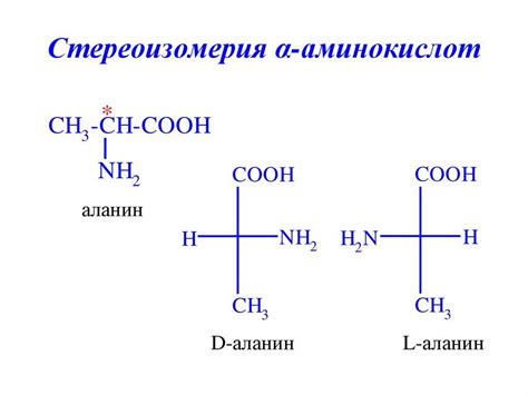 Применение циклима и циклима аланина в медицине и спорте