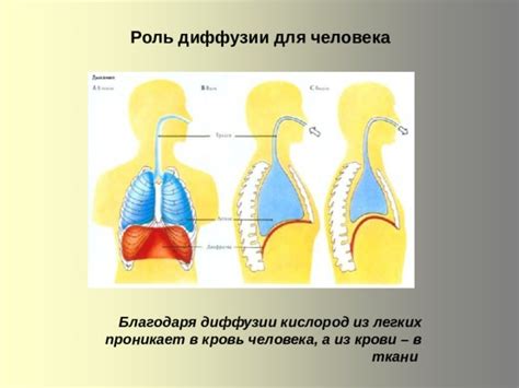 Примеры диффузии для 7 класса