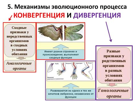 Примеры закрытых систем в биологии